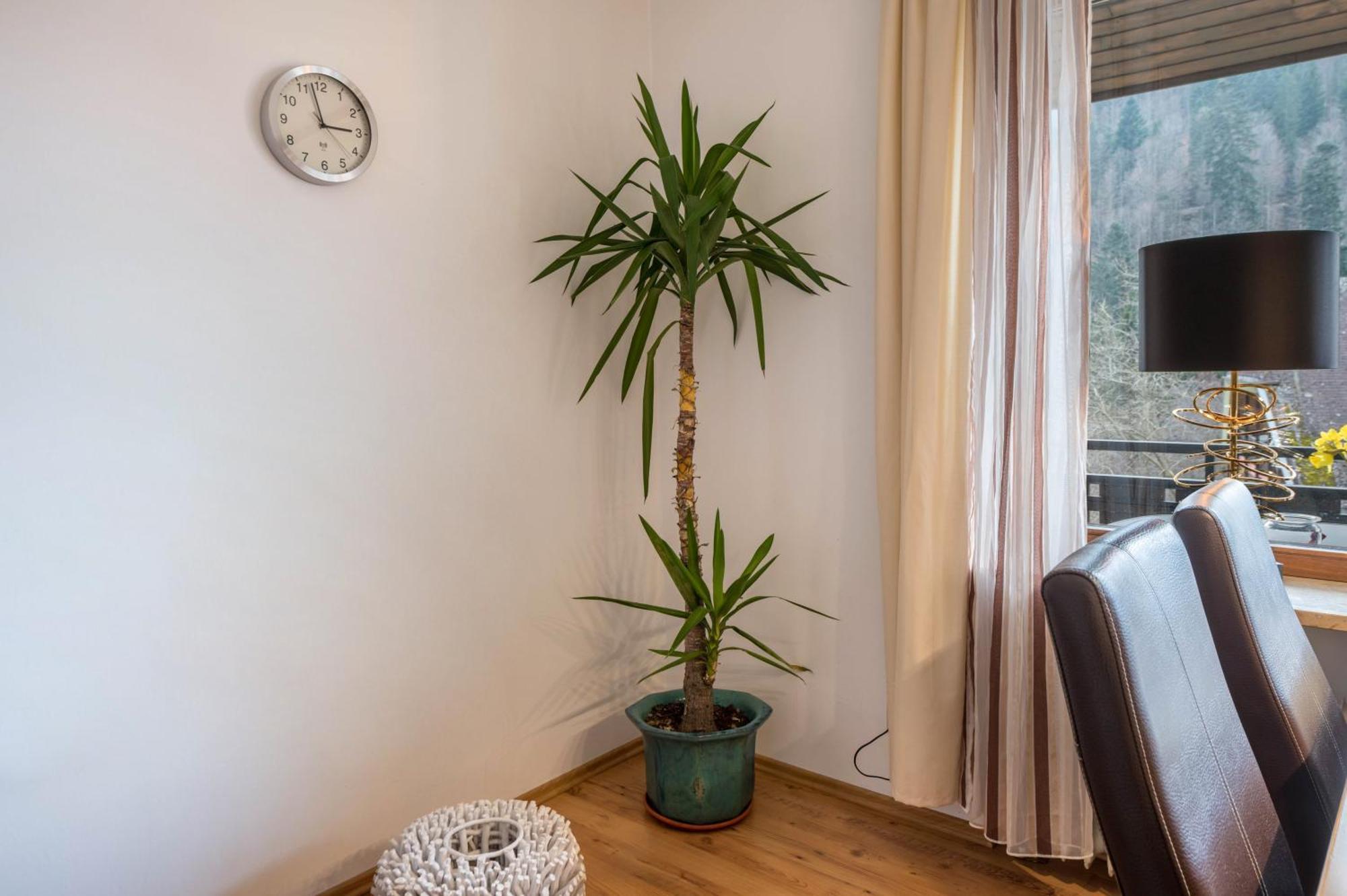 Haus Akelei Apartment ทอดท์โมส ภายนอก รูปภาพ